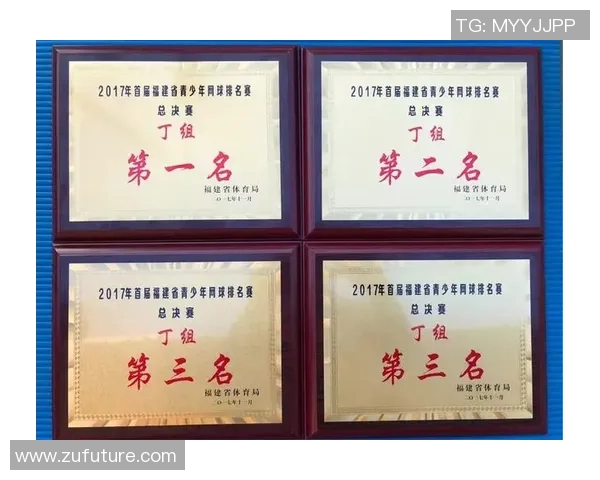 北京网球队与深圳网球队实力对比赛后分析与复盘